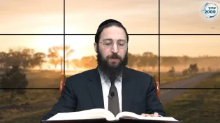 דף יומי: הדף היומי לצפייה - סוכה כ"ח - כ"ו אב: הרב אקרב