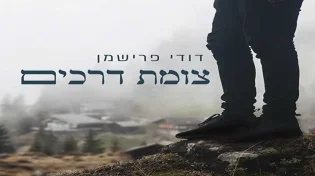 דודי פרישמן - "צומת דרכים"