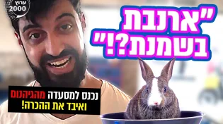 נכנס למסעדה מהגיהנום ואיבד את ההכרה: "ארנבת בשמנת?!"