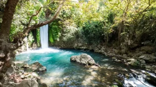הח"כים יוזמים: הצע"ח שתחייב שעות עם הפרדה בשמורות הטבע