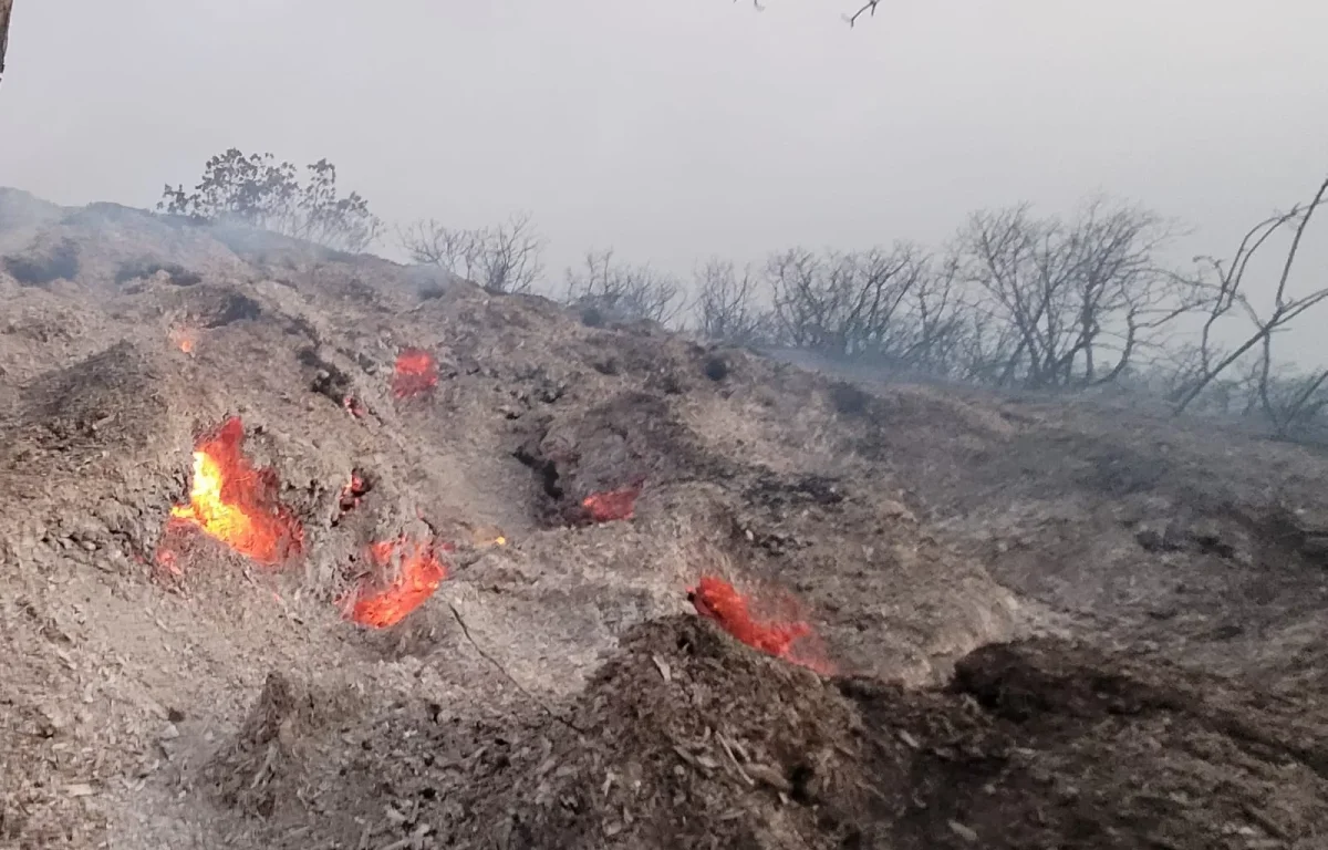 17,000 דונם נשרפו בשריפת הענק ע"י ירושלים - טרם הושגה שליטה