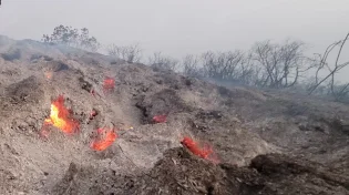 17,000 דונם נשרפו בשריפת הענק ע"י ירושלים - טרם הושגה שליטה