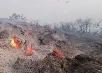 17,000 דונם נשרפו בשריפת הענק ע"י ירושלים - טרם הושגה שליטה