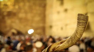 הרב אייל עמרמי חושף: "כך נוכל לזכות ולראות את פני משיח"