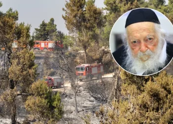 בעקבות השריפות, מרן שר התורה: "להתחזק בשמירת שבת"