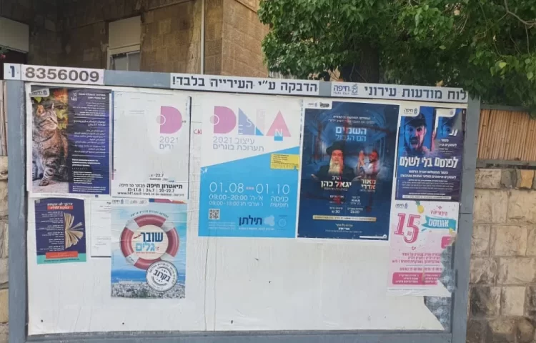 זעזוע בחיפה: צלבי קרס על שלטי הרב יגאל כהן: "פירות ההסתה" זעזוע בחיפה: צלבי קרס על שלטי הרב יגאל כהן: "פירות ההסתה"