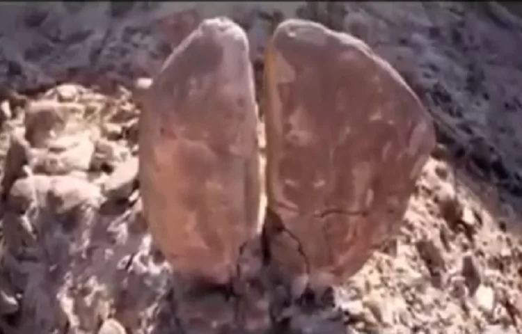 מסעיר את הרשת: האם נמצא הסלע שמשה הכה ויצאו ממנו מים?