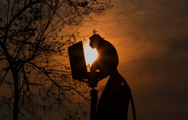 קוף אחרי בן-אדם? קוף אחרי בן-אדם?