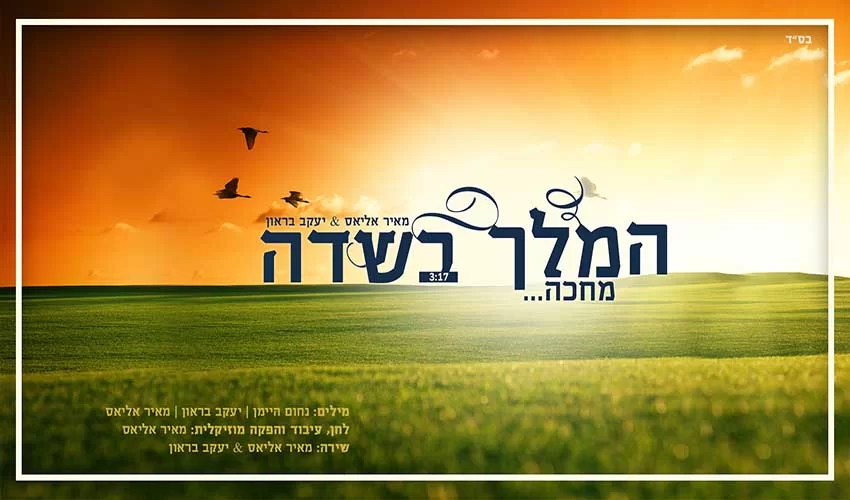 מאיר אליאס & יעקב בראון – המלך בשדה מחכה