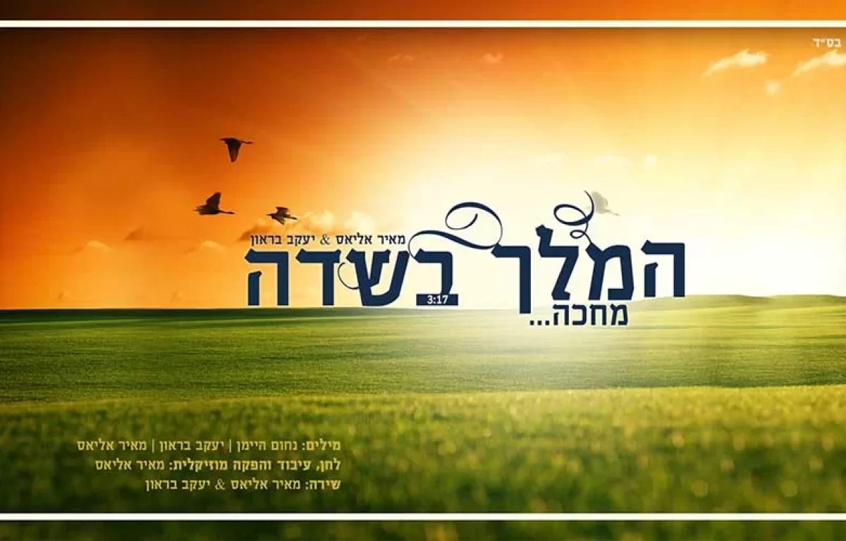 מאיר אליאס & יעקב בראון – המלך בשדה מחכה