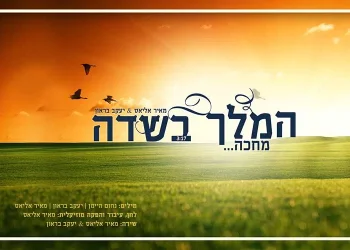 מאיר אליאס & יעקב בראון – המלך בשדה מחכה