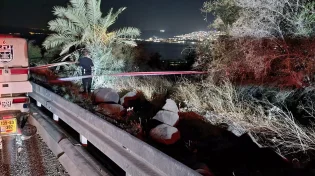 מקרה מזעזע: חרדי בן 75 נהרג, לאחר שנסע לקטוף לולבים בכביש 90