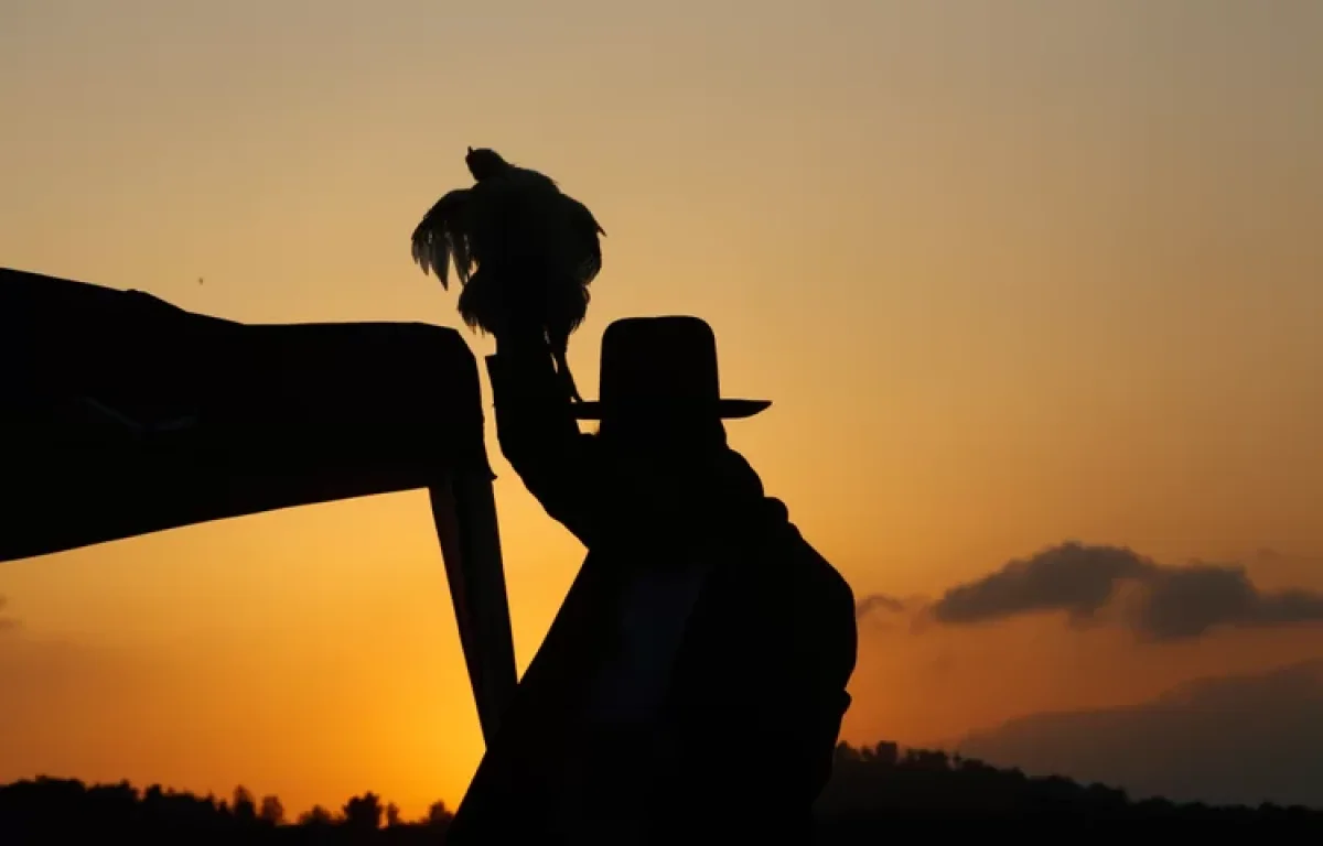 המשטרה עצרה את שודדי כספי הכפרות לאחר שהתחזו