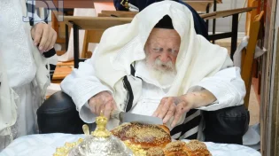 מחיל אל חיל: מרן שר התורה הגר"ח קנייבסקי בצאת היום הקדוש