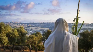 הילד ששבר את הרשת מכה שנית: "זה לא התפקיד שלנו"