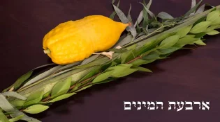 חשיפה מיוחדת מהמקורות