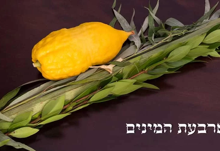 חשיפה מיוחדת מהמקורות