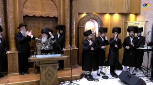 שמחת בית השואבה הגדולה בחסידות מישקולץ