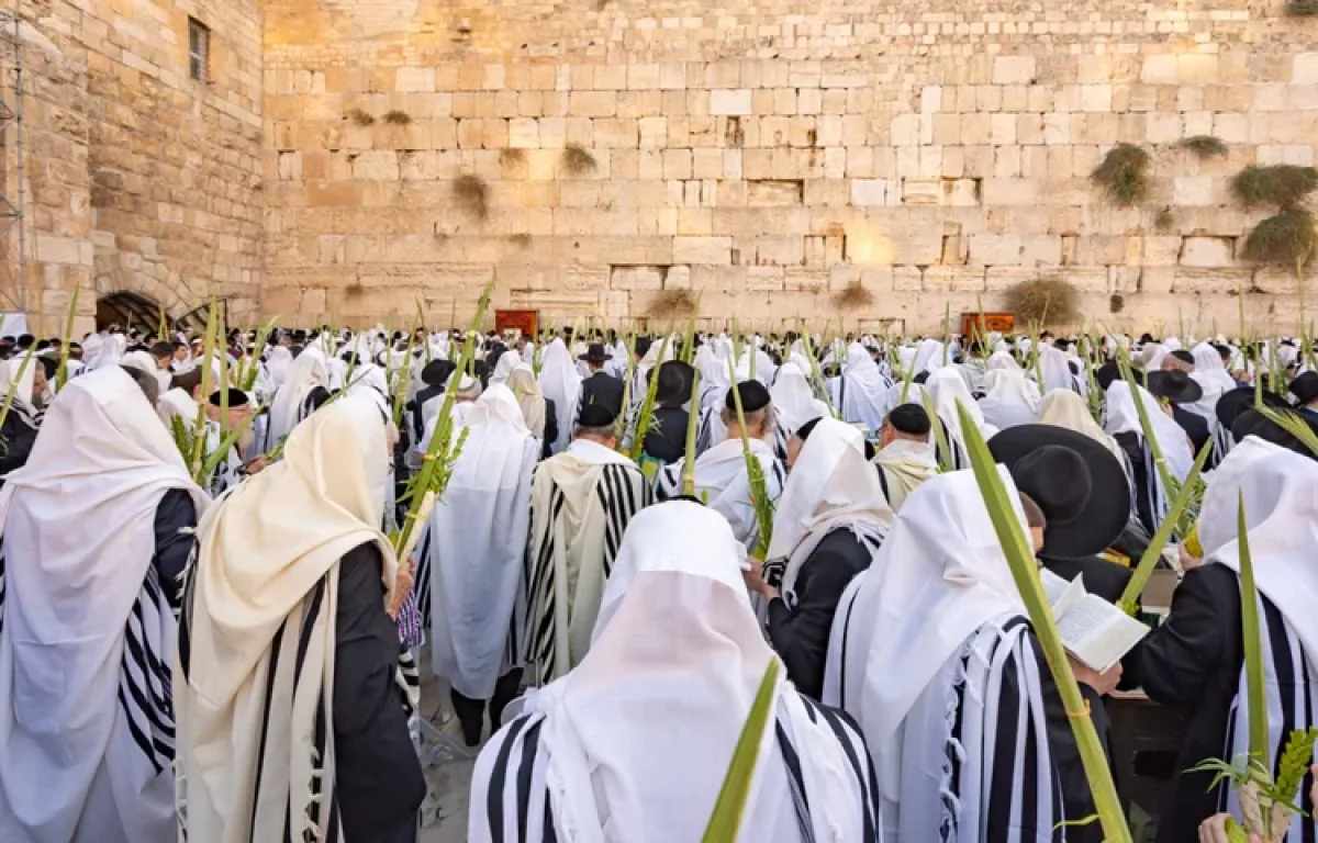 סוכות 2021: ברכת הכהנים בשידור חי