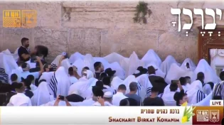 מרגש: הבוקר בכותל התקיימה ׳ברכת כהנים׳; רבבות פקדו את המקום