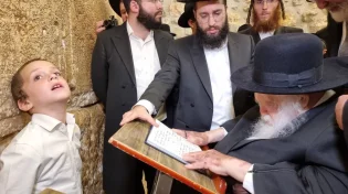 צפו בתיעוד: מרן שר התורה הגר"ח קנייבסקי בלימוד בסוכתו