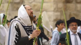 בזכות ארבעת המינים: סוד ההצלחה בחיים
