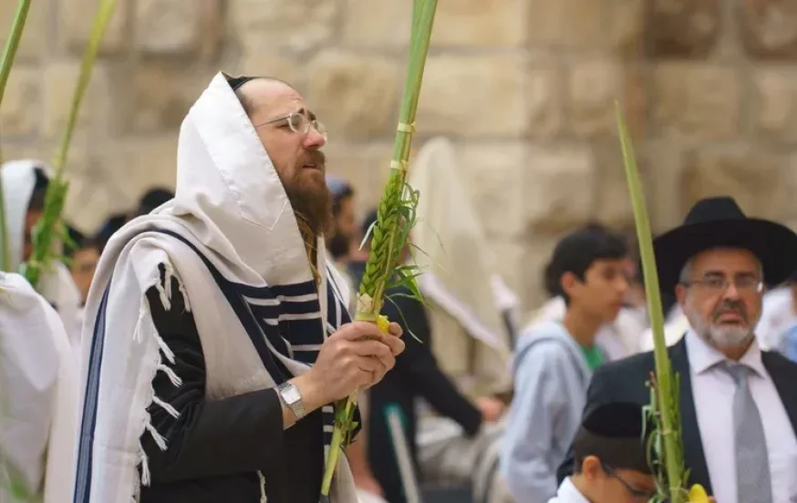 בזכות ארבעת המינים: סוד ההצלחה בחיים בזכות ארבעת המינים: סוד ההצלחה בחיים