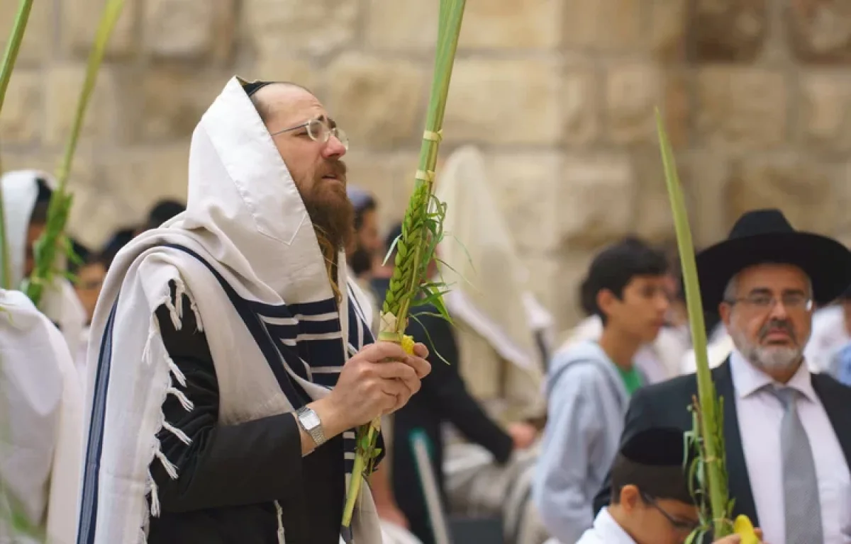 בזכות ארבעת המינים: סוד ההצלחה בחיים 