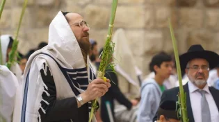 בזכות ארבעת המינים: סוד ההצלחה בחיים