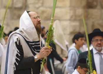 בזכות ארבעת המינים: סוד ההצלחה בחיים 