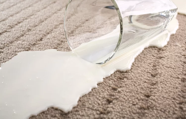 לא בוכים על חלב שנשפך לא בוכים על חלב שנשפך