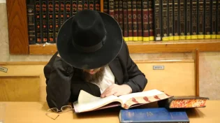 פרשת ויקרא