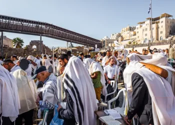 רבנים נגד קריב: "התרסה ופגיעה בהיסטוריה של עם ישראל ובמסורת"