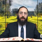 דף יומי: הדף היומי לצפייה - ביצה ל"ו - ל' תשרי: הרב אקרב