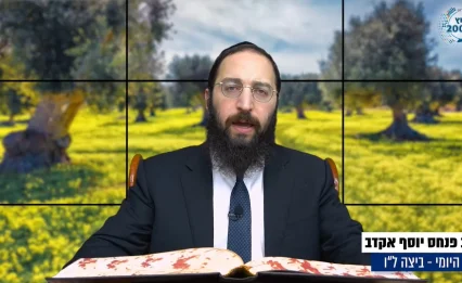 דף יומי: הדף היומי לצפייה - ביצה ל"ו - ל' תשרי: הרב אקרב
