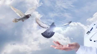 סגולת ענק לרפואה שלמה
