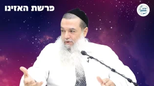 "אדם חוזר בגלגול לא כי הוא היה רשע": הרב יגאל כהן