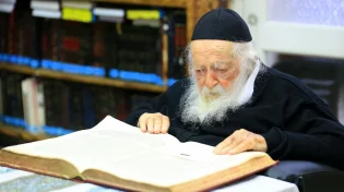 הידעתם? זו סגולת הסגולות של הרב קנייבסקי