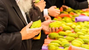2 המצוות היחידות בתורה שאנו מקיימים בכל גופנו