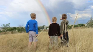 להצליח: בואו לבדוק אם אתם מחוברים לכל קשת הרגשות שלכם