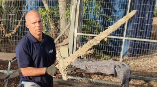 ממצא נדיר: ישראלי צלל וגילה חרב של אביר בת 900 שנה