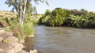 משרד הבריאות: נער שטבל במעיין הבקבוק בצפת נמצא חיובי לעכברת