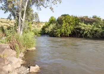 משרד הבריאות: נער שטבל במעיין הבקבוק בצפת נמצא חיובי לעכברת