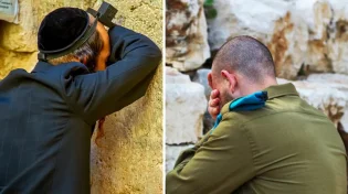 תוך חודש! מחילוניות גמורה ועד סיום מסכת - הרב שך התנגד