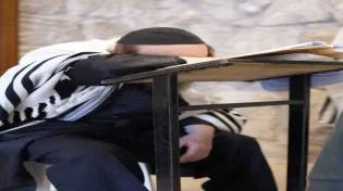 להצטער על הגלות