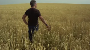 להתגבר מעל כל הכשלונות: "הכרת החולשה - היא העוצמה"