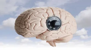 הכל על OCD