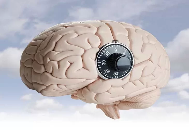 הכל על OCD