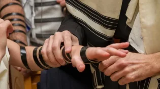 מה ההבדל בין תפילין של יד לתפילין של ראש?