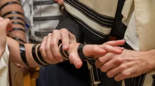 מה ההבדל בין תפילין של יד לתפילין של ראש?
